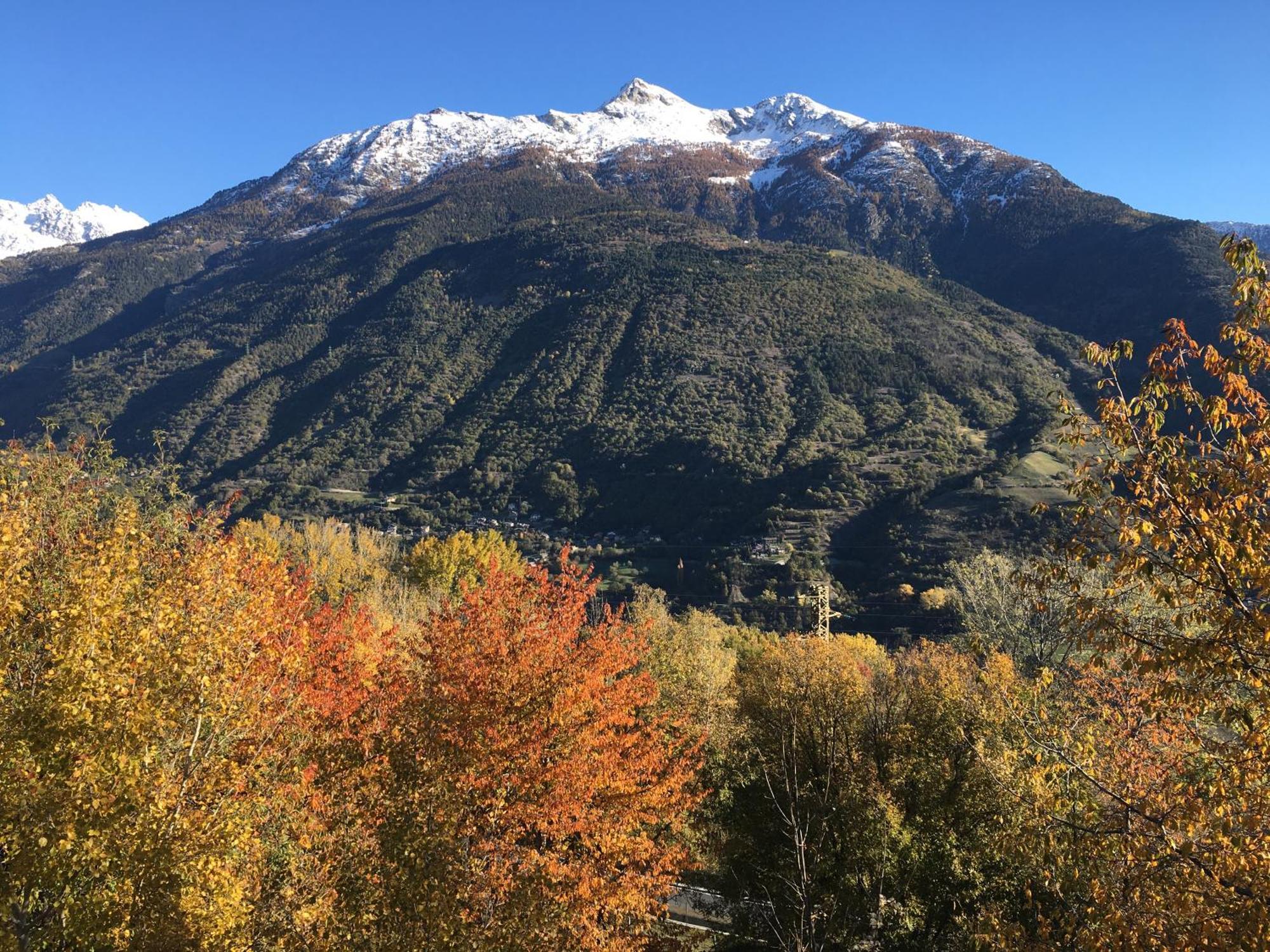 Ferienwohnung La Casa Del Bosco Aosta Exterior foto